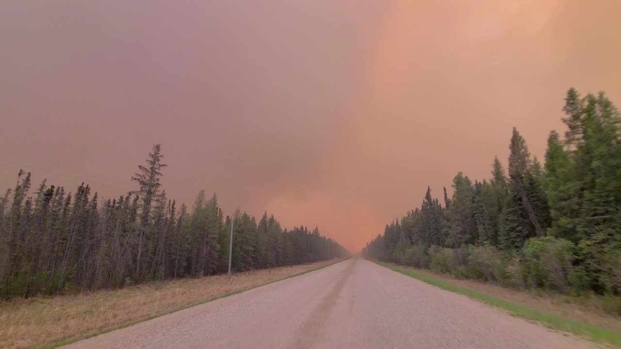 포브는 하늘에 불 구름과 함께 숲 안의 길에서 차를 운전했습니다.
