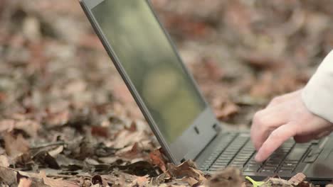 Draußen-Auf-Einem-Laptop-Tippen