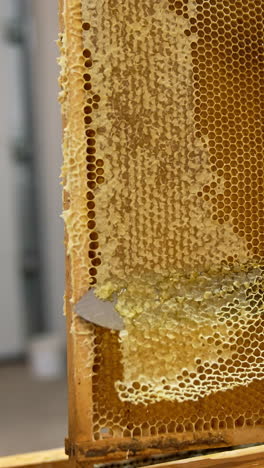 wooden honey beehive frames. organic apiary honey farming. vertical video