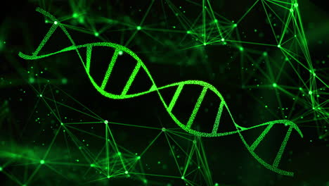 Dna-Helix-Struktur-Rotierend