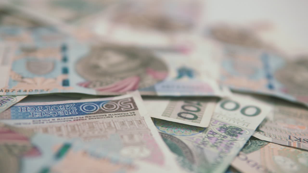 트랙: 폴란드 500 즐로티 머니에 집중