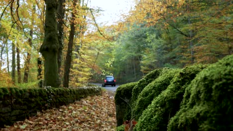 Atemberaubende-Aufnahme-Einer-Straße-Im-Herbst