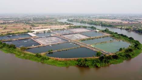 Die-Landschaft-Der-Aquakultur-Umweltlandwirtschaftsfarm