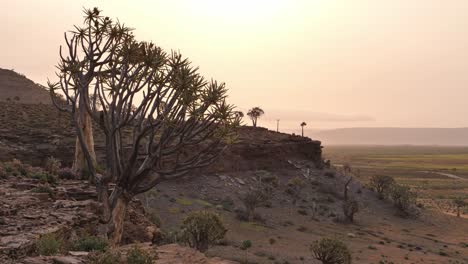 paisaje árido al amanecer o al atardecer con árboles de paisaje tranquilo