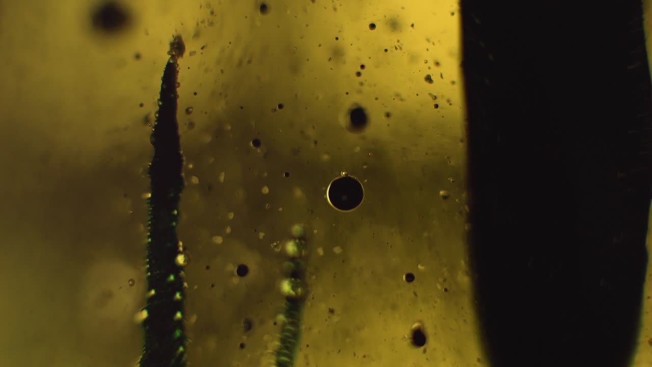 Rising crawling black tar with bubbles in yellow liquid epidemic dramatic