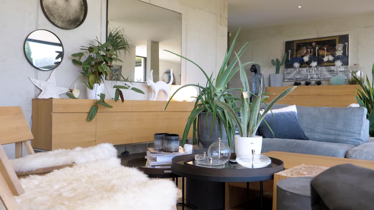 медленный вращающийся выстрел из небольших зеленых садовых растений сидел на кофейном столе в качестве украшения