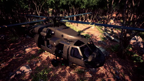 military helicopter in deep jungle