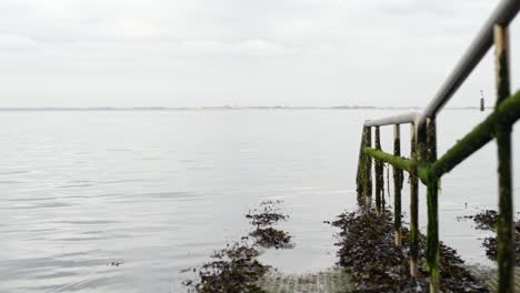 cerca de la barandilla cubierta de algas marinas de un camino de cuadrícula a las aguas del mar del norte holandés