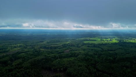 Luftaufnahme-Eines-Waldes-Mit-Dichter-Vegetation-Und-Dicken-Dunklen-Wolken-Bedecken-Den-Himmel