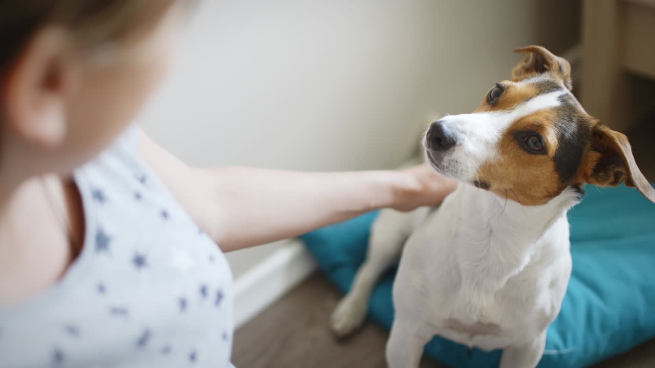 강아지 와 함께 있는 임신 한 여자