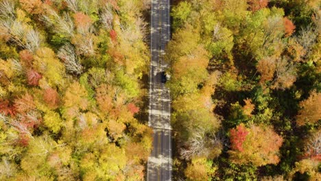 aerial tracking car driving on remote road surrounded by autumn foliage