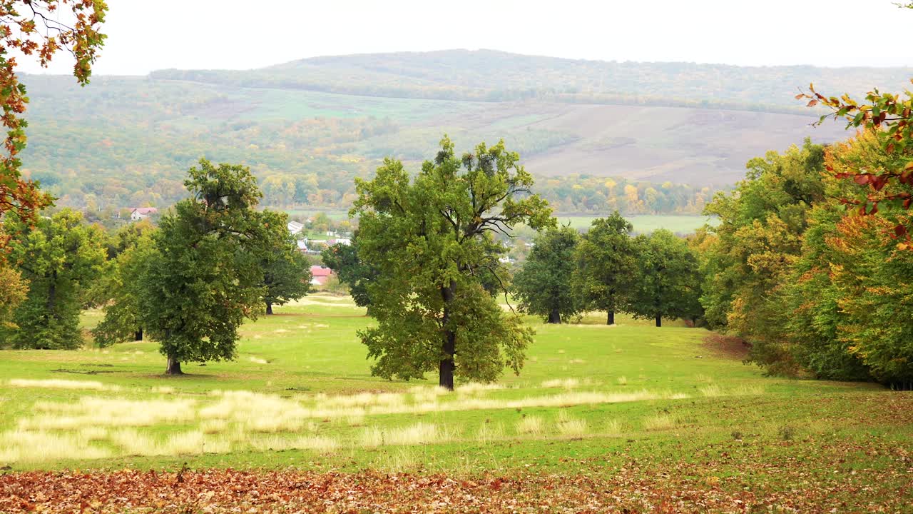 4k tomas de otoño, árboles y bosques de aspecto oxidado