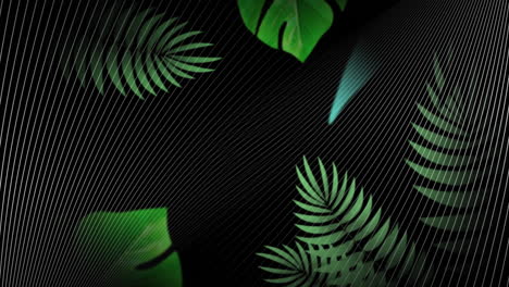 animation of drips and white curved lines, with green leaves moving on black background