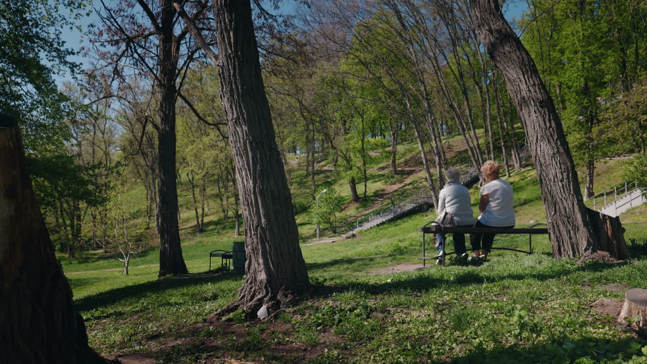 Pareja mayor relajándose en un parque