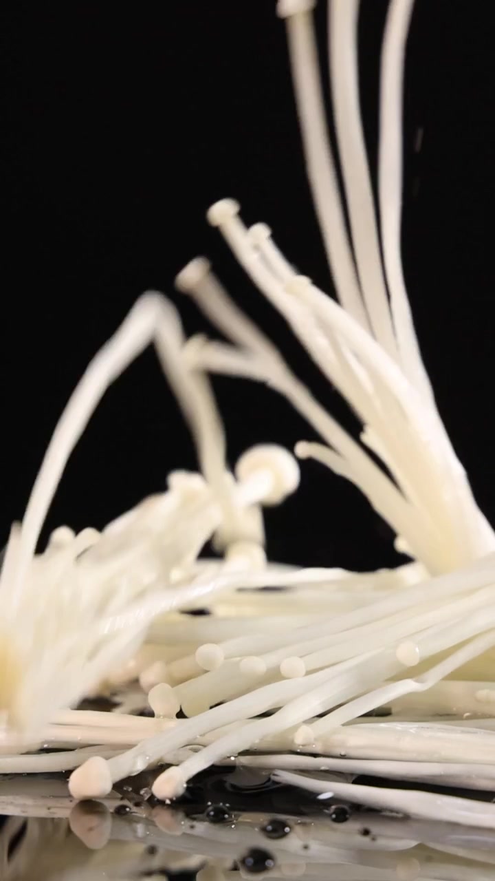 White enoki mushrooms drop and bounce on a reflective black surface in slow motion.