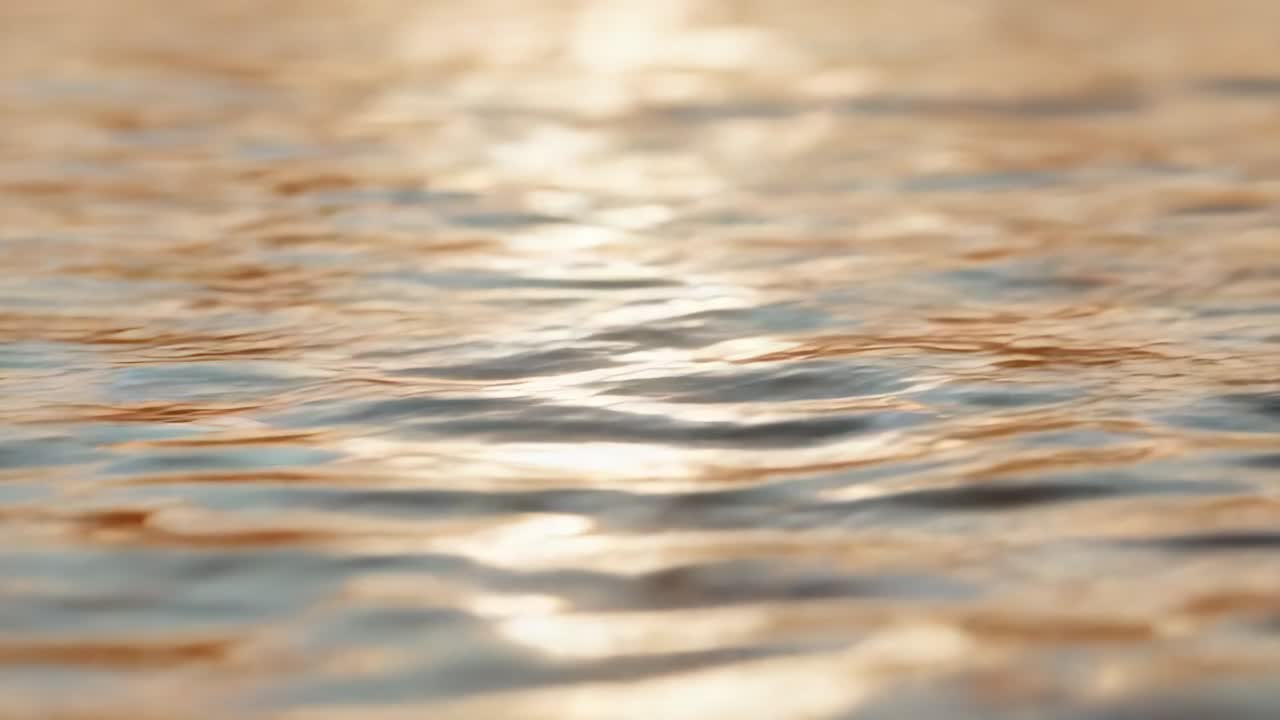 Shimmering water surface reflecting low sun, shifting by breeze over lake with golden ripples