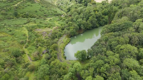 Aerial-fly-in-of-a-remote-lake-with-bright-green-water-surrounded-by-dense-woodland