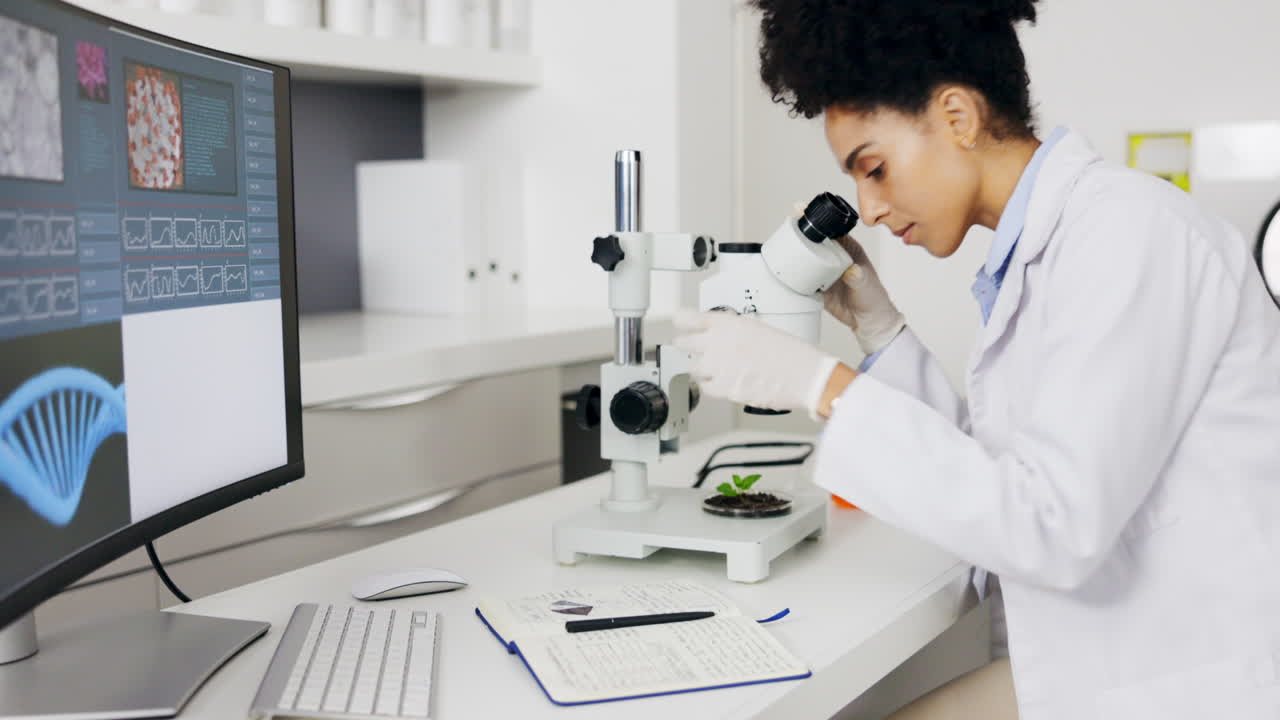 Scienziato, pianta e microscopio