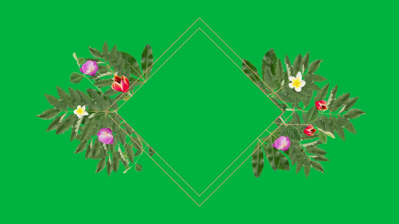Floral Frame Animation with Green Leaves and Colorful Flowers on Green Screen