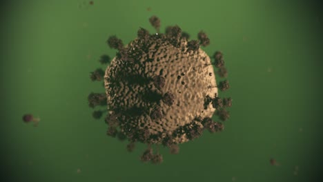 virus coronavirus microscópico covid 19 célula ncov infección corona macro