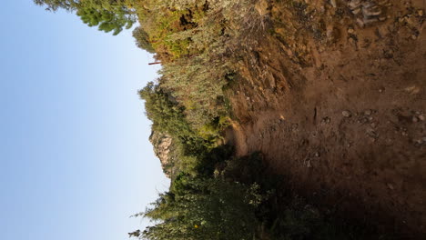 Tiro-Vertical-De-4k-De-La-Ruta-De-Senderismo-Entre-Arbustos-Y-árboles-En-La-Montaña-La-Concha,-Marbella,-España