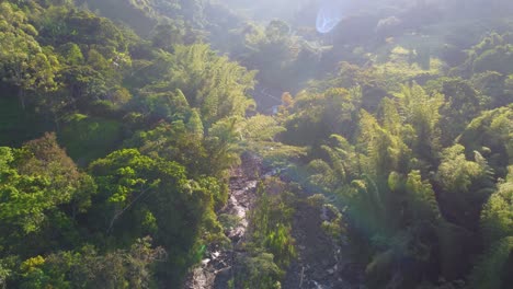 aerial view of a stream in the wild forest on the mountain in colombia, flyover