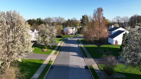 aerial dolly forward of neighborhood street with blooming trees and houses in spring