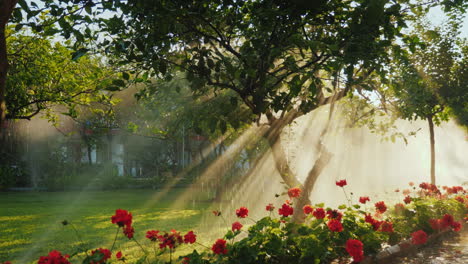 Die-Sonnenstrahlen-Erhellen-Einen-Kleinen-Garten-Mit-Obstbäumen-Und-Blumen,-In-Dem-Das-Bewässerungssystem