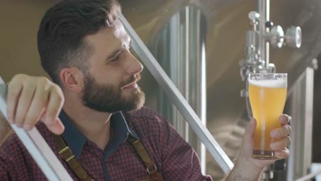 young brewer wearing a leather apron is tasting beer at a modern brewery