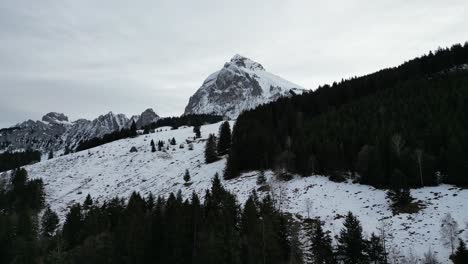 Fronalpstock-Glarus-Suiza-Vuela-Sobre-El-Bosque-Oscuro-En-Un-Día-Sombrío-En-Los-Alpes