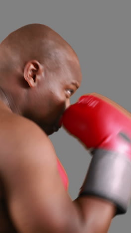 serious muscular boxer man practising