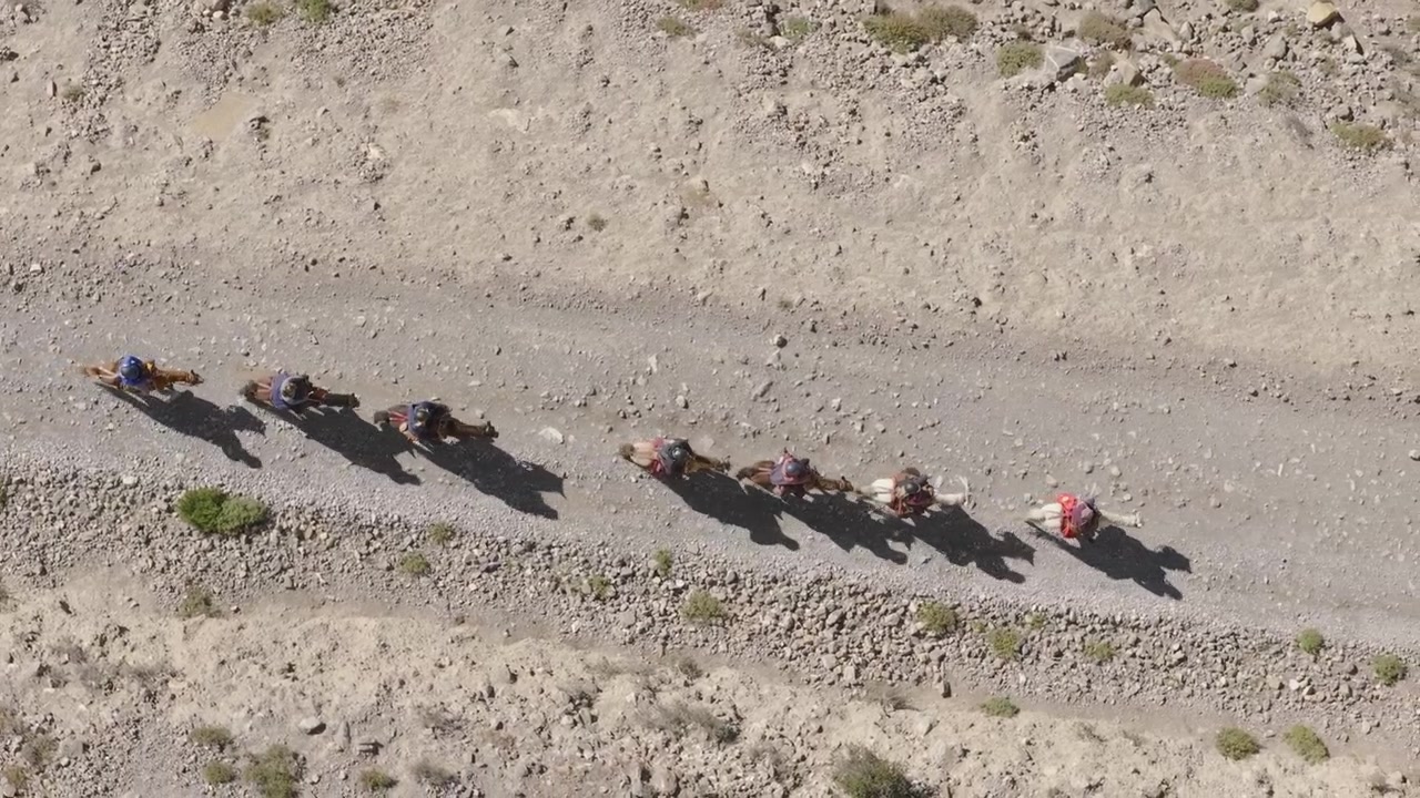 Cinematic top-down aerial drone shot tracking horseback riders as they journey across the rugged, dry, and textured trails of the remote Himalayan region in Mustang, Nepal.