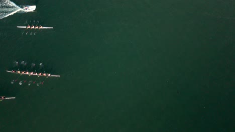 Ruderteams-Konkurrieren-Beim-Drachenbootrennen-In-Marina-Del-Rey,-Los-Angeles,-Kalifornien