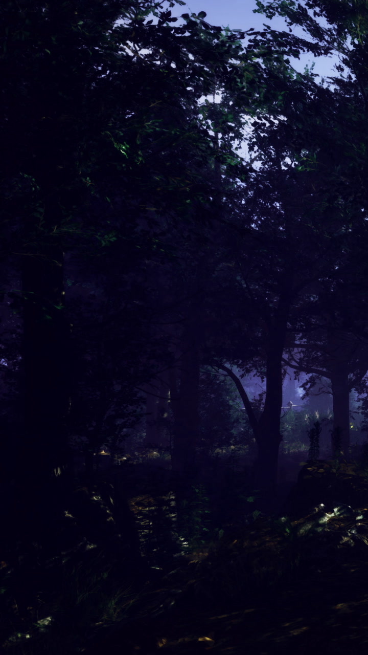 Shadows and silhouettes in a dark forest during nighttime