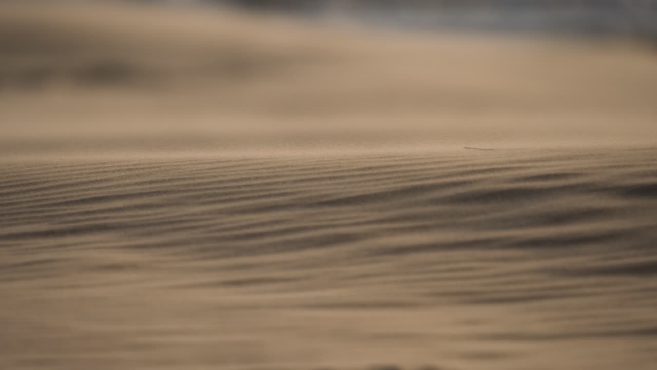 바람에 쓸린 모래 언덕