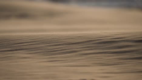 windswept sand dunes