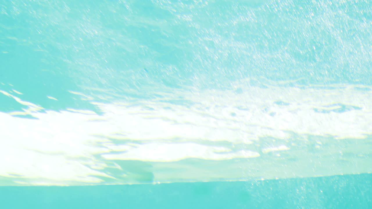 수영장에 다이빙하는 적합한 갈색