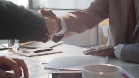 two multiethnic businessmen having discussion and shaking hands