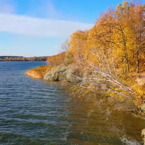 aerial view of autumn landscape and river