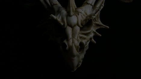 product shoot of fantasy bone dragon skull