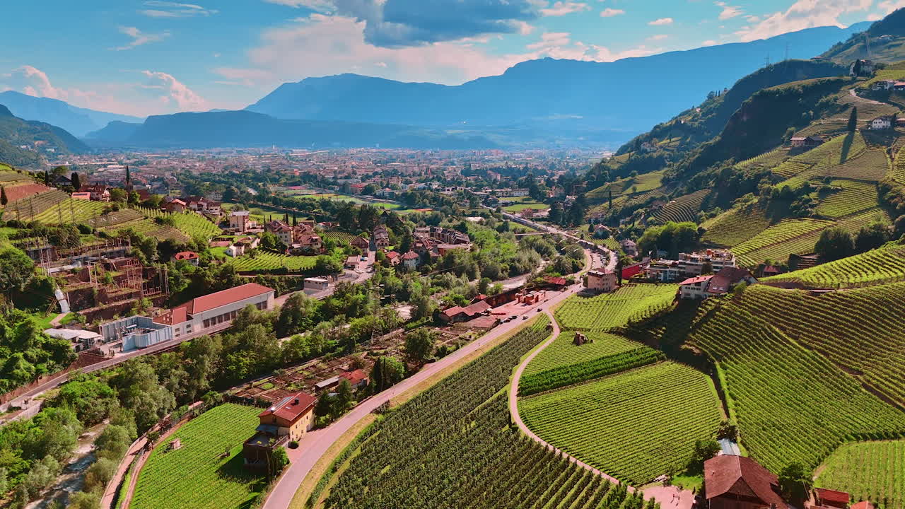 Multiple vineyards growing on the slopes of the mountains. Eye-catching scenery of beautiful Bolzano, South Tyrol, Italy. Aerial view.