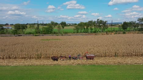 time-honored harvest methods, with horses, in a tranquil rural landscape as autumn colors emerge