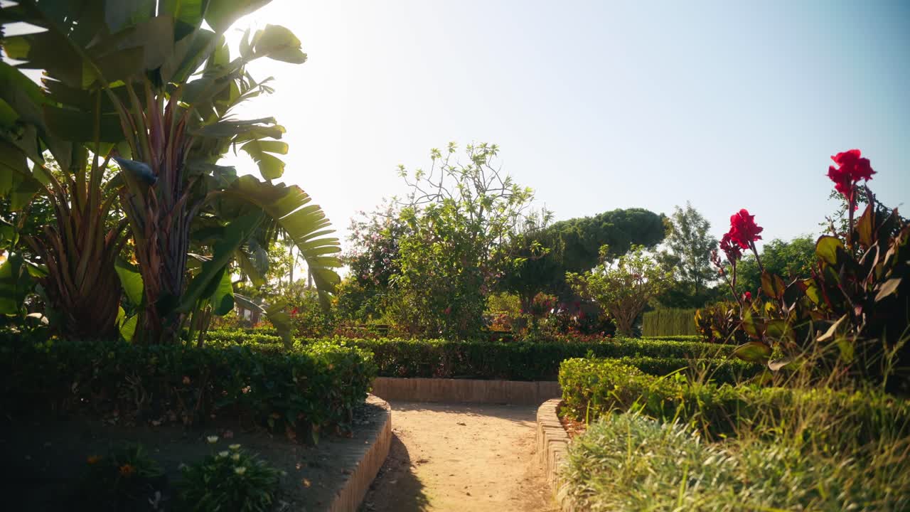 Sentiero soleggiato di un giardino fiancheggiato da siepi e piante tropicali