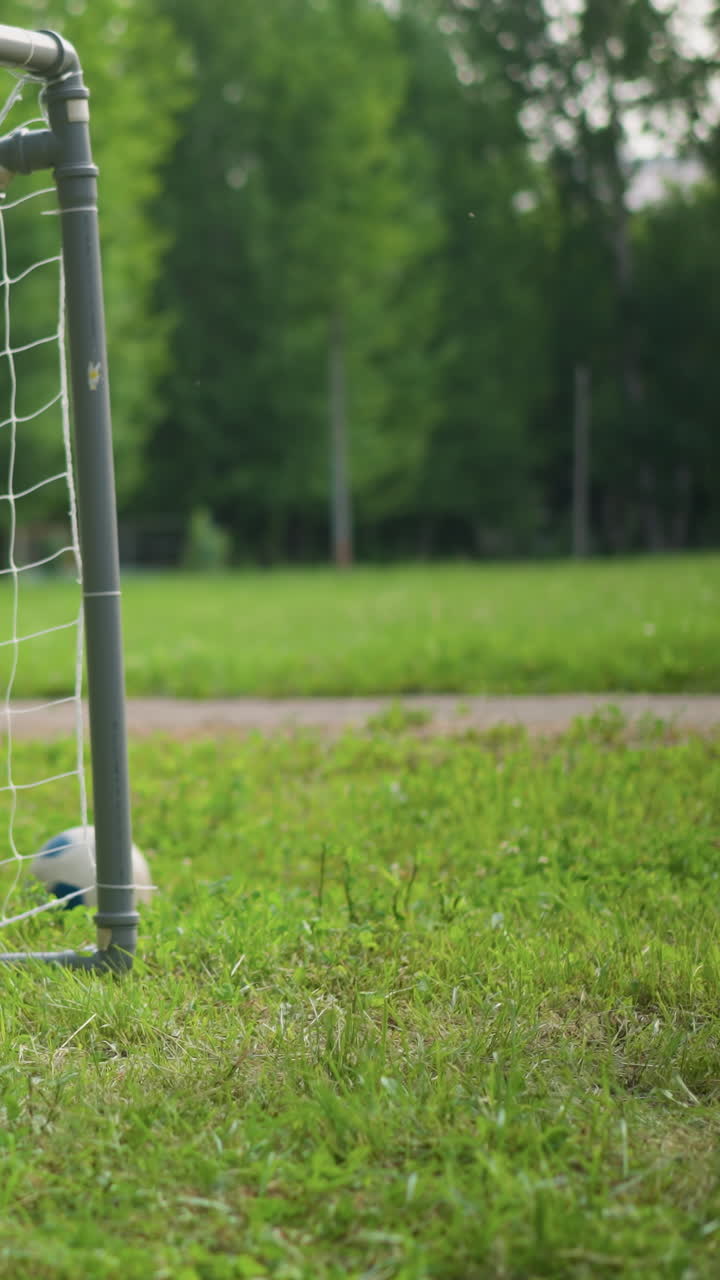 A little boy enthusiastically kicks the ball towards a goalpost while his older brother moves to intercept, in the background, people are blurred