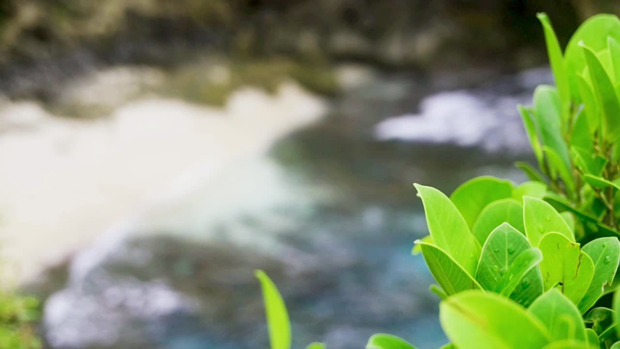팬은 깨진 해변 발리 인도네시아의 백사장에 충돌하는 맑은 바닷물을 보여줍니다