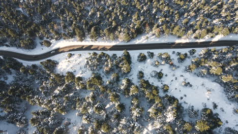 Straße,-Umgeben-Von-Bäumen-Im-Schnee