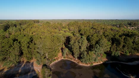 el aumento revela la vista de drones árboles forestales portugueses con áreas dispersas hora dorada puesta de sol