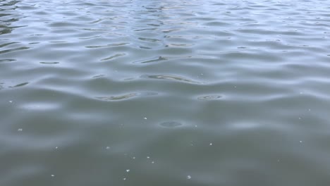 abstract water surface with small waves in slow-motion