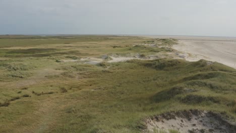 cinematic drone - aerial shot of the green and sandy nature beach of st