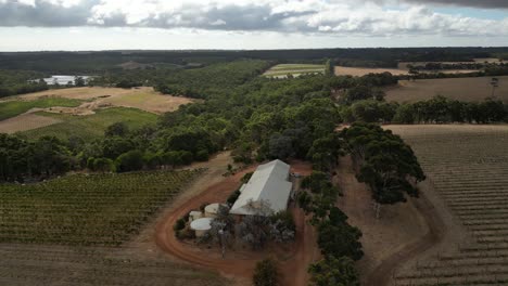 aerial top down shot of vineyard field in and wine industry farm house in scenic landscape - margaret river in western australia